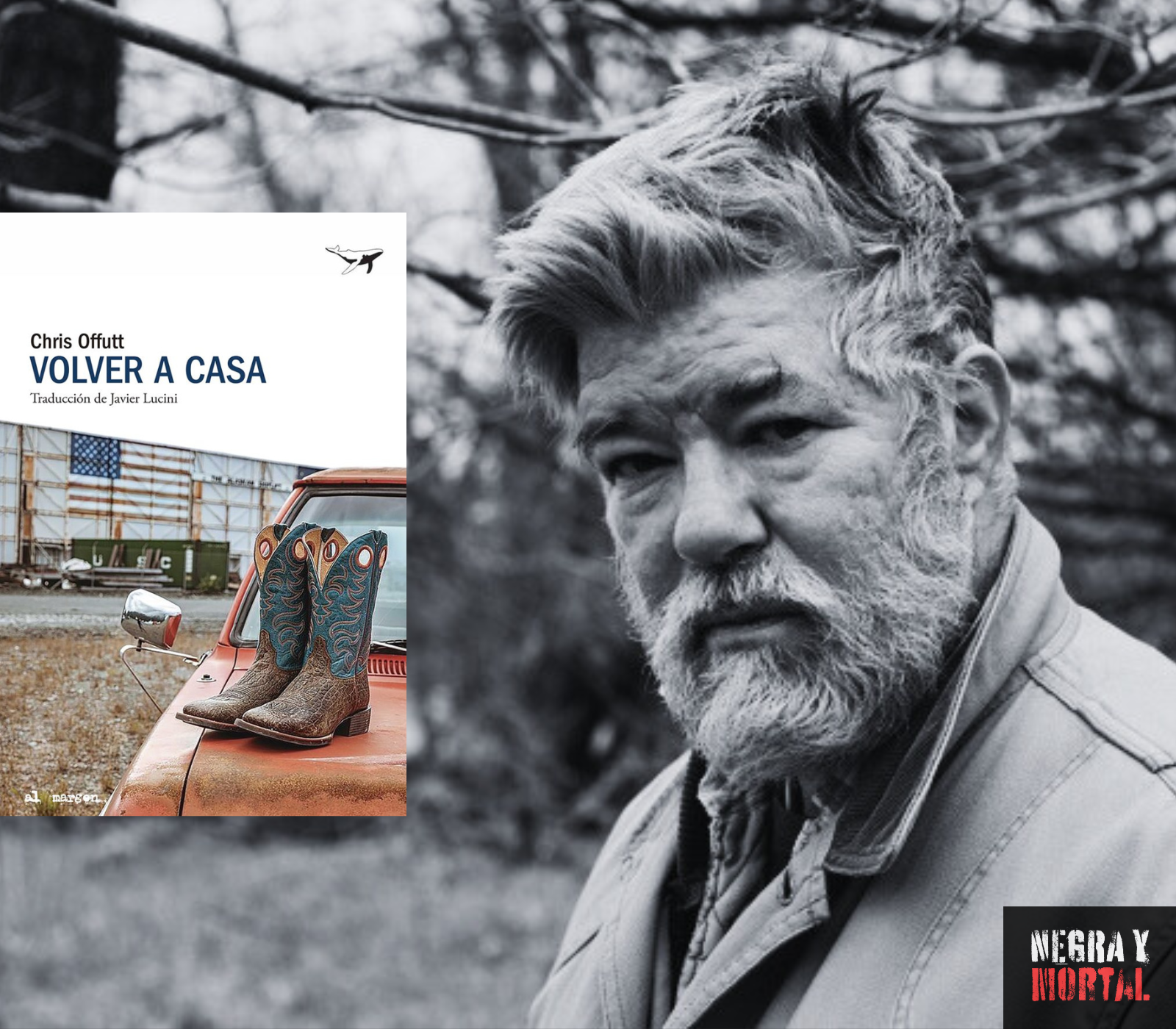 Volver a casa